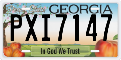 GA license plate PXI7147