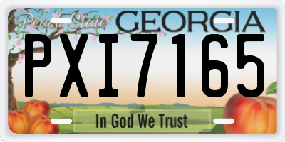 GA license plate PXI7165