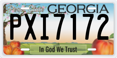 GA license plate PXI7172