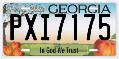 GA license plate PXI7175