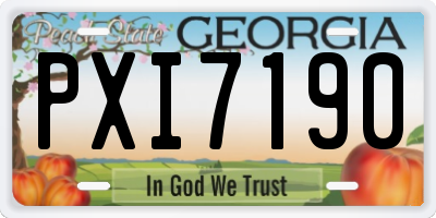 GA license plate PXI7190