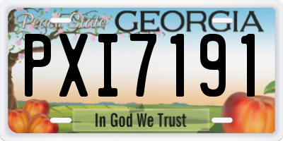 GA license plate PXI7191