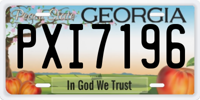 GA license plate PXI7196