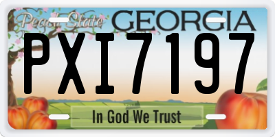 GA license plate PXI7197