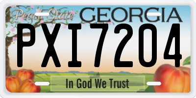 GA license plate PXI7204