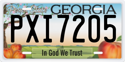 GA license plate PXI7205