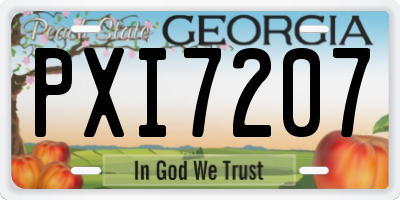 GA license plate PXI7207