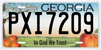 GA license plate PXI7209
