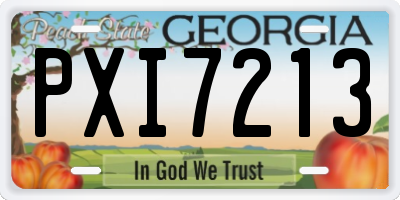 GA license plate PXI7213