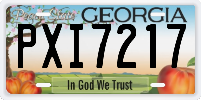GA license plate PXI7217