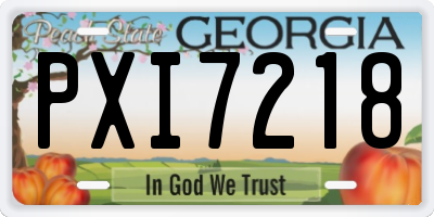 GA license plate PXI7218