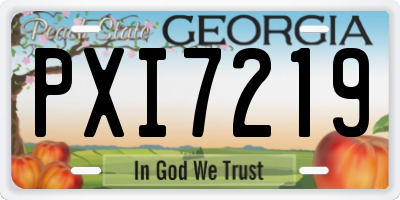 GA license plate PXI7219