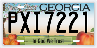 GA license plate PXI7221