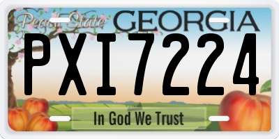 GA license plate PXI7224