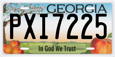 GA license plate PXI7225