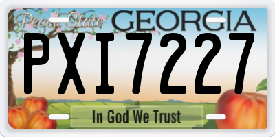 GA license plate PXI7227
