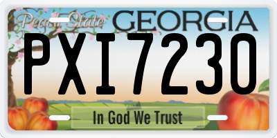 GA license plate PXI7230
