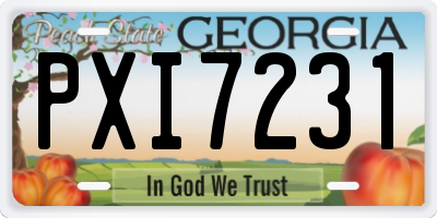 GA license plate PXI7231