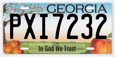 GA license plate PXI7232