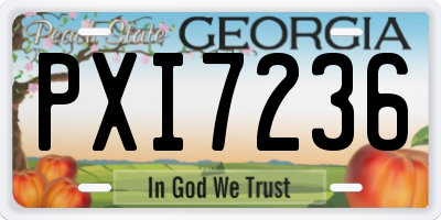 GA license plate PXI7236