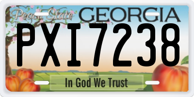 GA license plate PXI7238