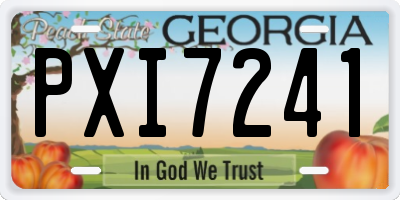 GA license plate PXI7241