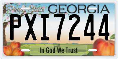 GA license plate PXI7244
