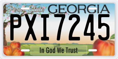 GA license plate PXI7245