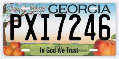 GA license plate PXI7246