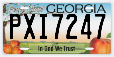 GA license plate PXI7247