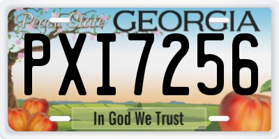 GA license plate PXI7256