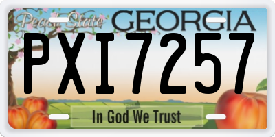 GA license plate PXI7257