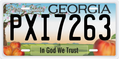 GA license plate PXI7263