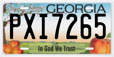 GA license plate PXI7265