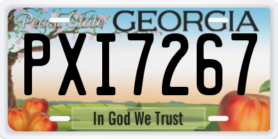 GA license plate PXI7267