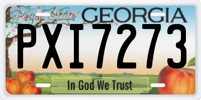 GA license plate PXI7273