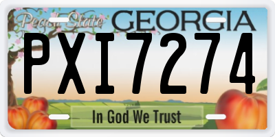 GA license plate PXI7274