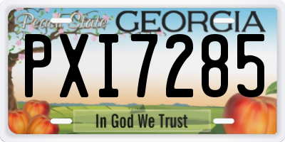GA license plate PXI7285