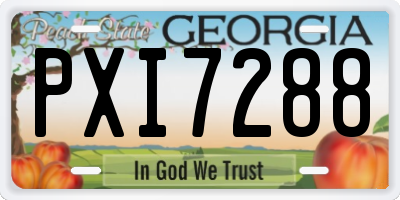 GA license plate PXI7288