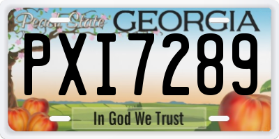 GA license plate PXI7289
