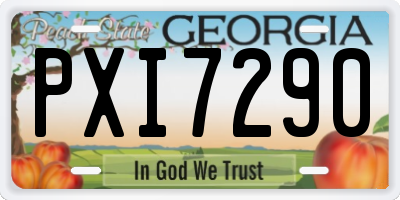 GA license plate PXI7290