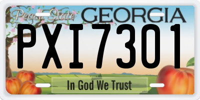 GA license plate PXI7301