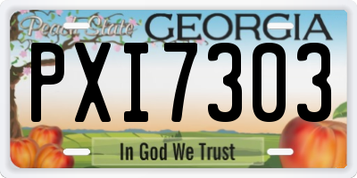 GA license plate PXI7303