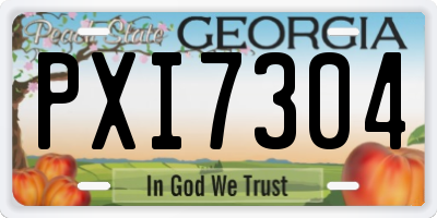 GA license plate PXI7304