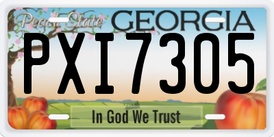 GA license plate PXI7305