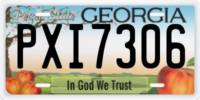 GA license plate PXI7306