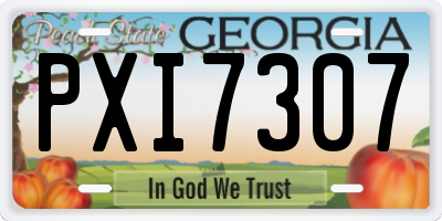 GA license plate PXI7307