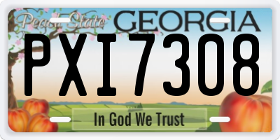 GA license plate PXI7308