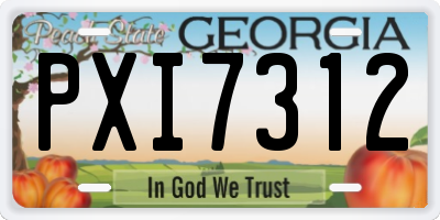 GA license plate PXI7312