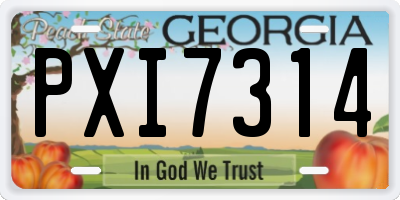 GA license plate PXI7314